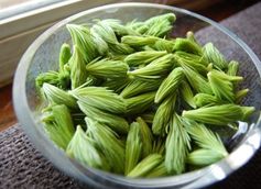 Goodwood Brewing To Release Spruce Tip IPA Goodwood Brewing To Release Spruce Tip IPA