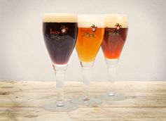 Brugse Zot Beer Connoisseur