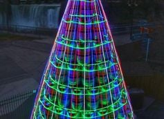 Genesee Keg Tree (Credit: John Kucko)