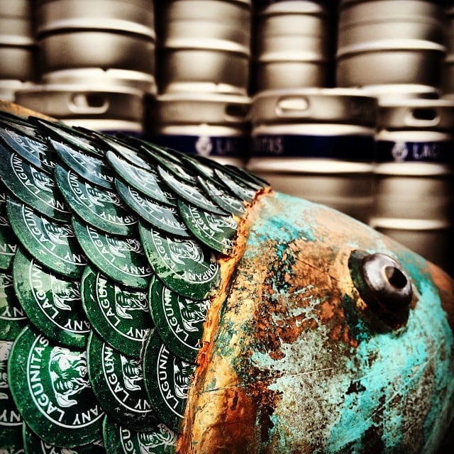 Lagunitas inches closer to the biggest fish in the pond. Lagunitas Tony Magee Heineken