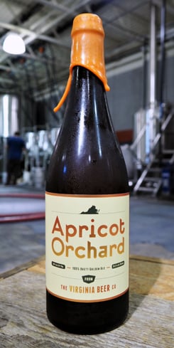 Judge’s Review: 94 Rating – Apricot Orchard Brett Golden Ale by The Virginia Beer Co.