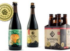 Winter Seasonals and Kettle Sour Saison Ale