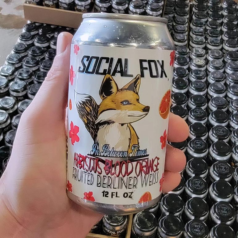 social fox brewing in between times hibiscus blood orange