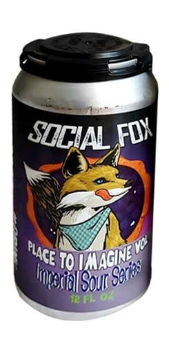 Place to Imagine Vol. 4 – Blueberry Pie Social Fox Brewing