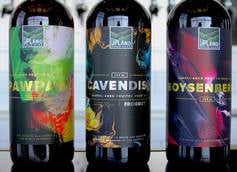 Upland Brewing Showcases Spring Seasonals
