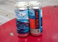 Cape May Brewing Co. Releases Twin Fin Sour Hazy IPA in Collaboration with Iron Hill Brewery