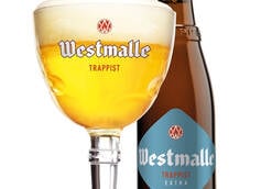 Westmalle Extra Now Available in the US