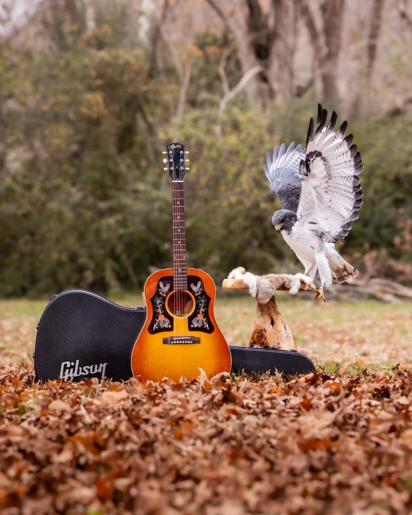 Gibson J45 Acoustic Guitar