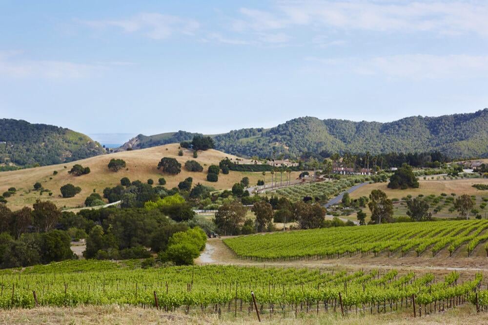 Sinor-LaVallee Estate Wines