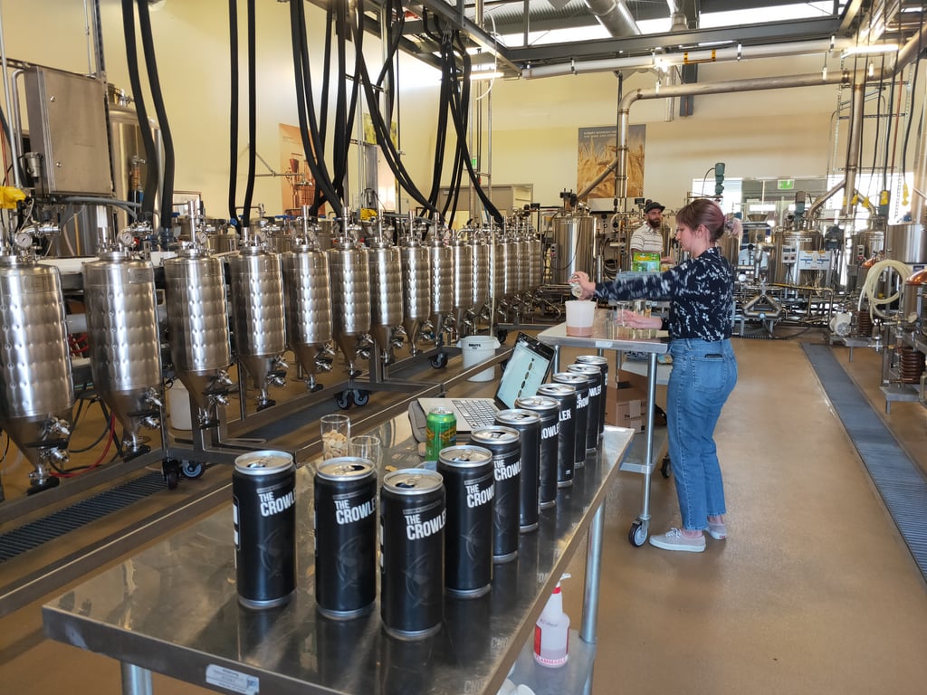 Student at UCD working on a beer in the brewing science program.