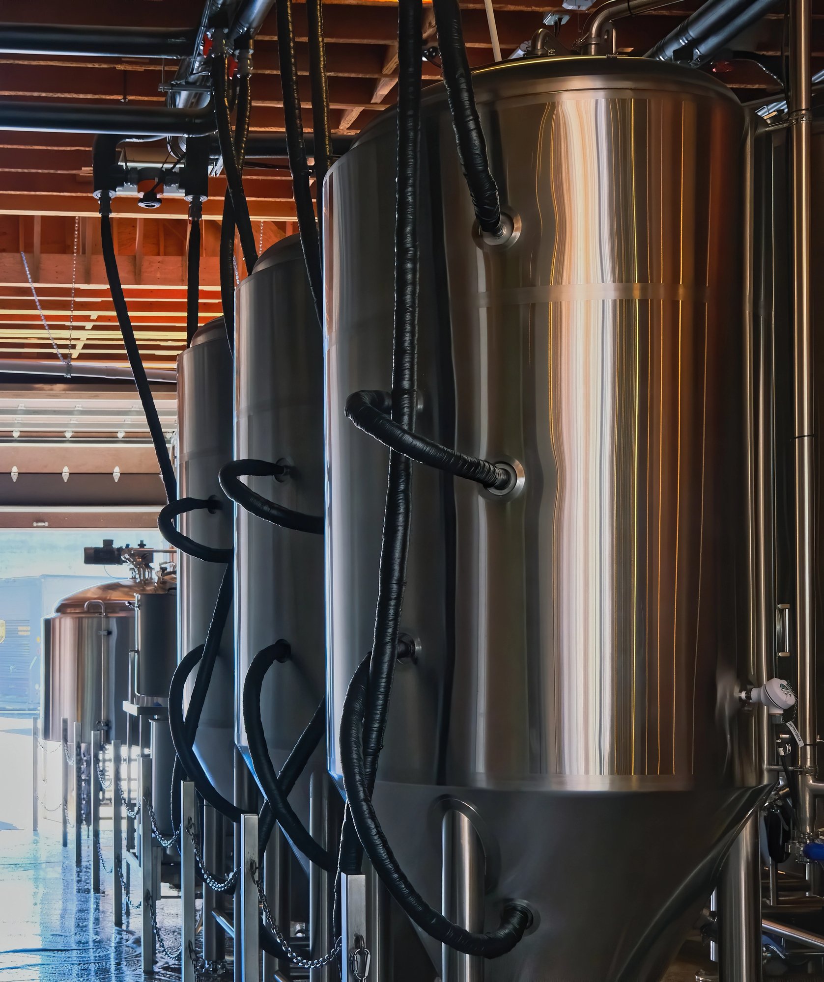 Beer fermentation tanks